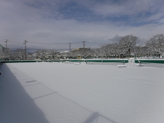 DSCF1997.JPG