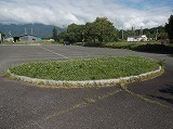 DSCF3017.jpg