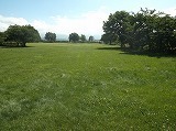 DSCF3020.jpg
