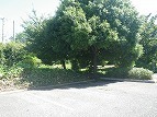 IMGP0489.jpg