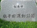 IMGP0490.jpg