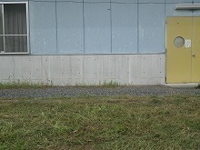 IMGP0551.jpg