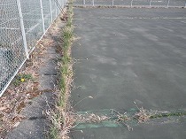 s-IMGP0366.jpg