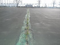 s-IMGP0367.jpg