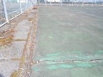 s-IMGP0368.jpg