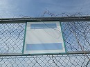 s-IMGP0388.jpg