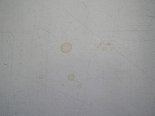 s-IMGP0581.jpg