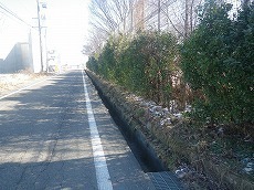 s-IMGP0781.jpg